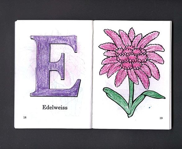 E Is For Edelweiss