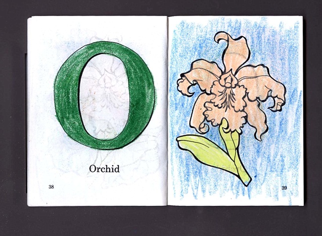 O Is For Orchid