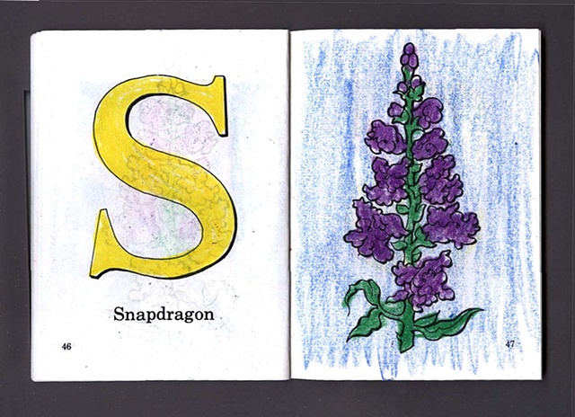 S Is For Snapdragon