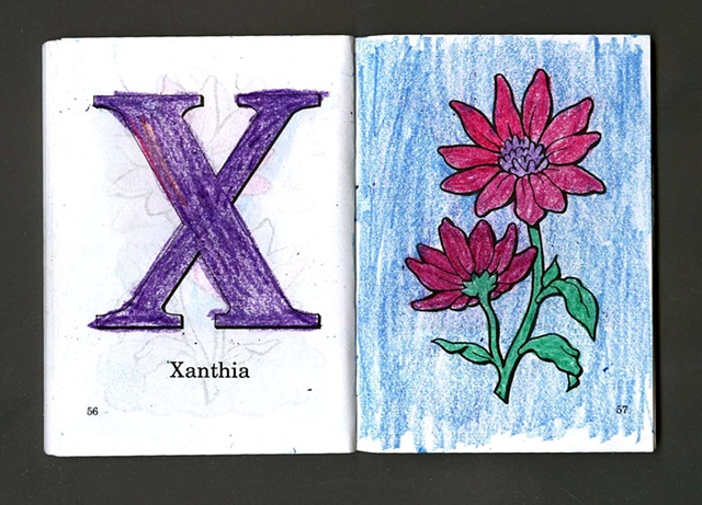 X Is For Xanthia