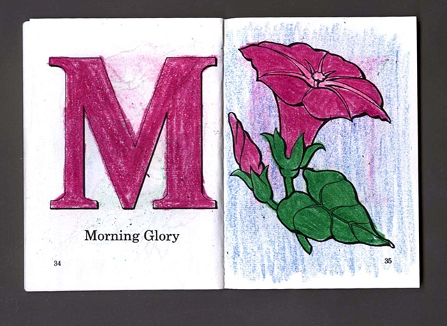 M Is For Morning Glory
