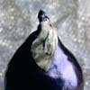 Made-Up Pears