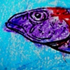 Fish Head