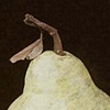 Yellow Pear with Leave