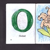 O Is For Orchid