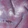 Sliced Silver Pear