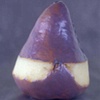Lavender Joined Pear