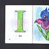I Is For Iris