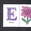 E Is For Edelweiss