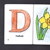 D Is For Daffodil