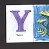 Y Is For Yarrow
