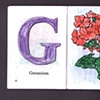 G Is For Geranium