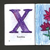 X Is For Xanthia