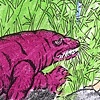 Kimodo Dragon