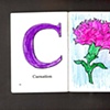 C Is for Carnation