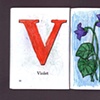 V Is For Violet