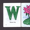W Is For Water Lily