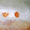 Siliqua No. 3