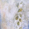 Siliqua No. 2