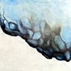 "Regeneration No. 3"
