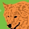 Chow Dog