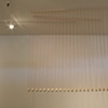 spine