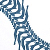 typeset: unknown spine