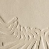 typeset: royal wings
