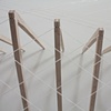 ridge (detail)