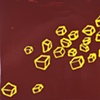 Flying Squares 