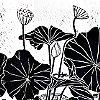 Woodcuts/B&W