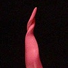 Pink Swirl
