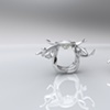 Ring (two views)