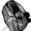 3DM of "Molar Tie-Pin"