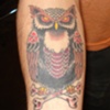 Owl