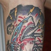 Hooker Shark