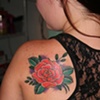 Orange Rose