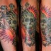 Dakota's Arm