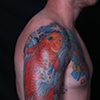 Eric's Koi