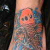 fish 