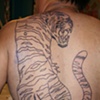 Tiger Back Piece
