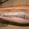 Egyptian Feather