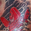 Orange and Red Koi