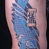 Blue koi


