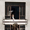neighbor