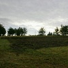 Corkum Tree Farm