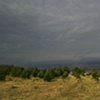 Landscapes