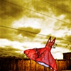 Fine Art Images