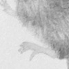 Detail - wisdom consists partly in not pretending anymore