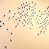 ... damn birds